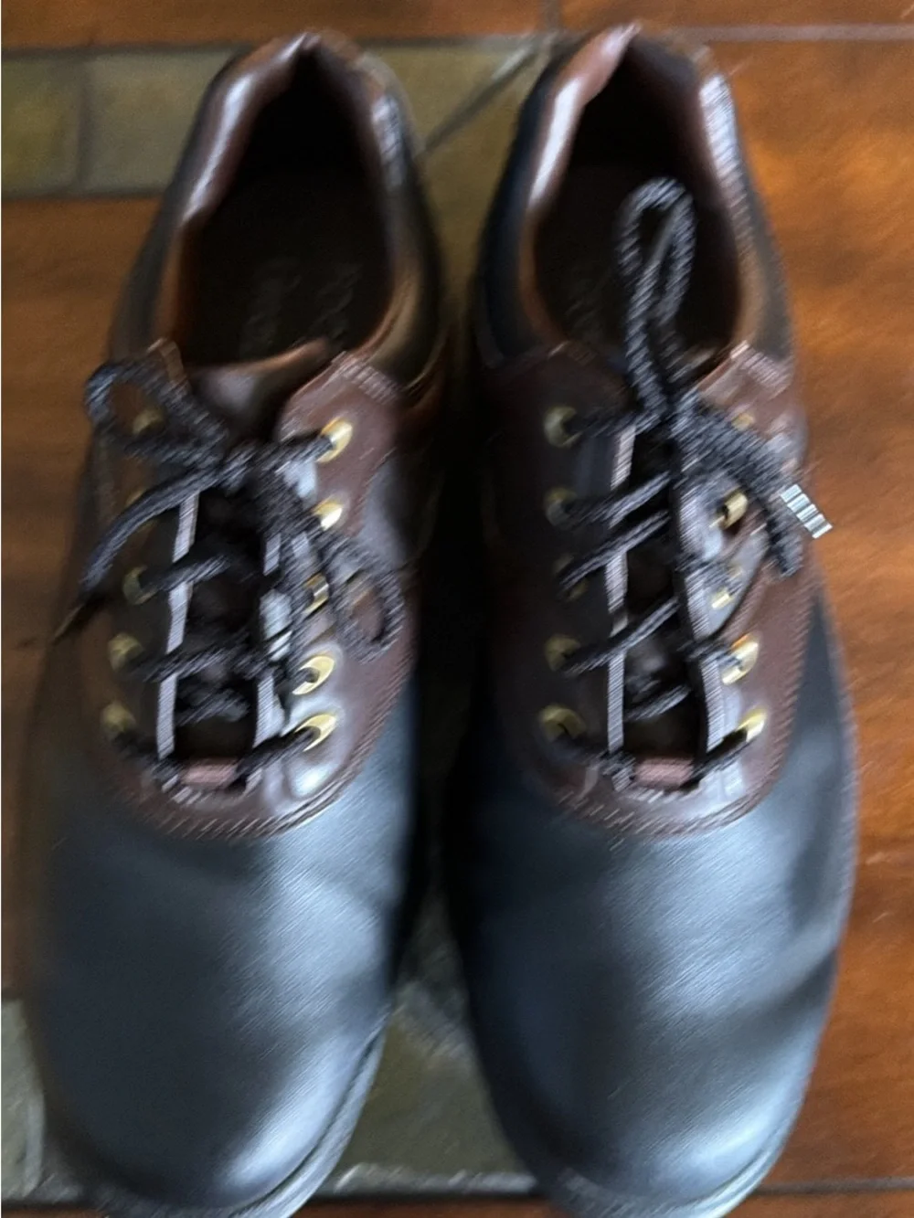FootJoy Black and Brown Golf shoes